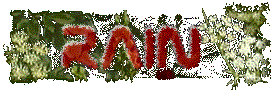 Rain